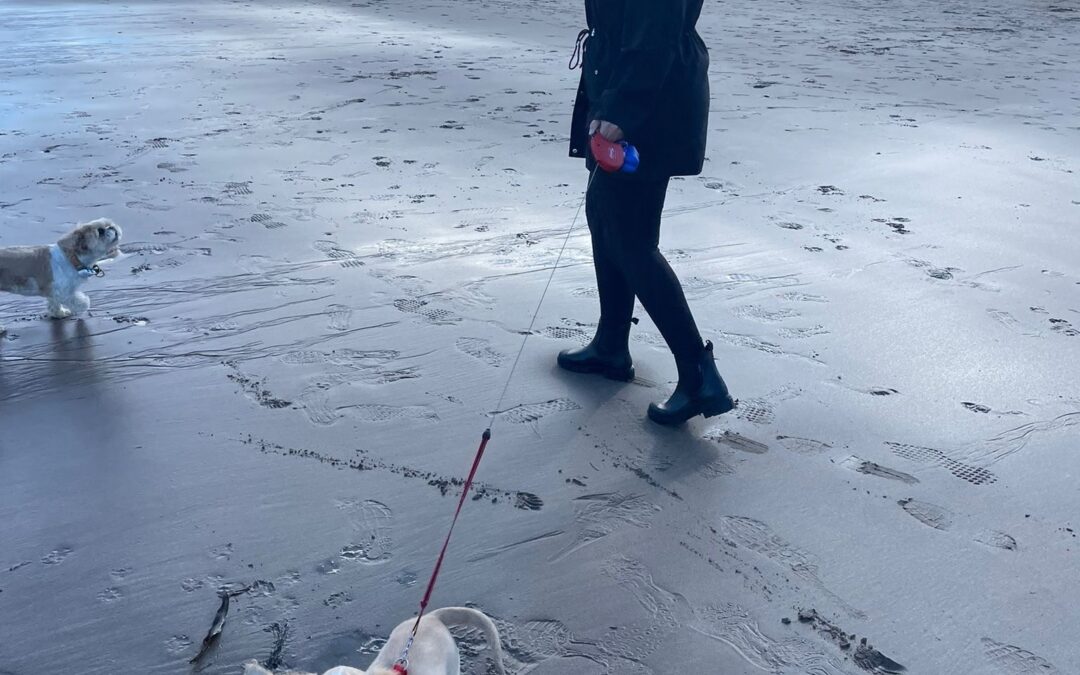 In Conversation with Alice Ellwood