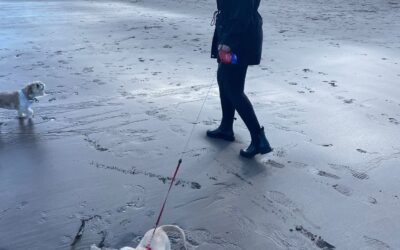 In Conversation with Alice Ellwood